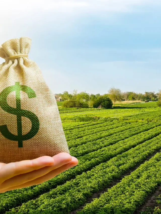Fiagros: Oportunidade de Investimento no Agro