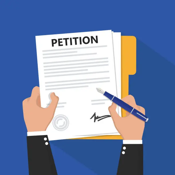 decisão Flávio Dino